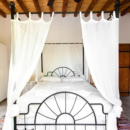 Spiti Calliope * カースィカス